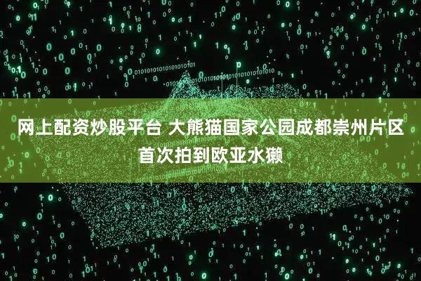 网上配资炒股平台 大熊猫国家公园成都崇州片区首次拍到欧亚水獭